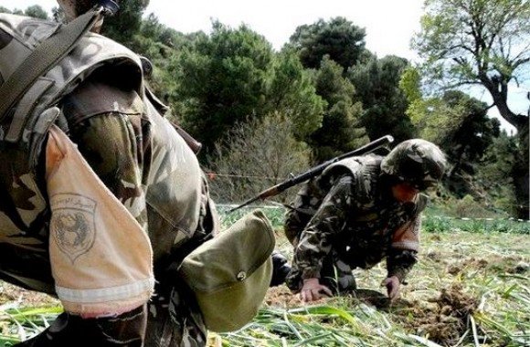 Destruction de 3 bombes de confection artisanale à Jijel (MDN)