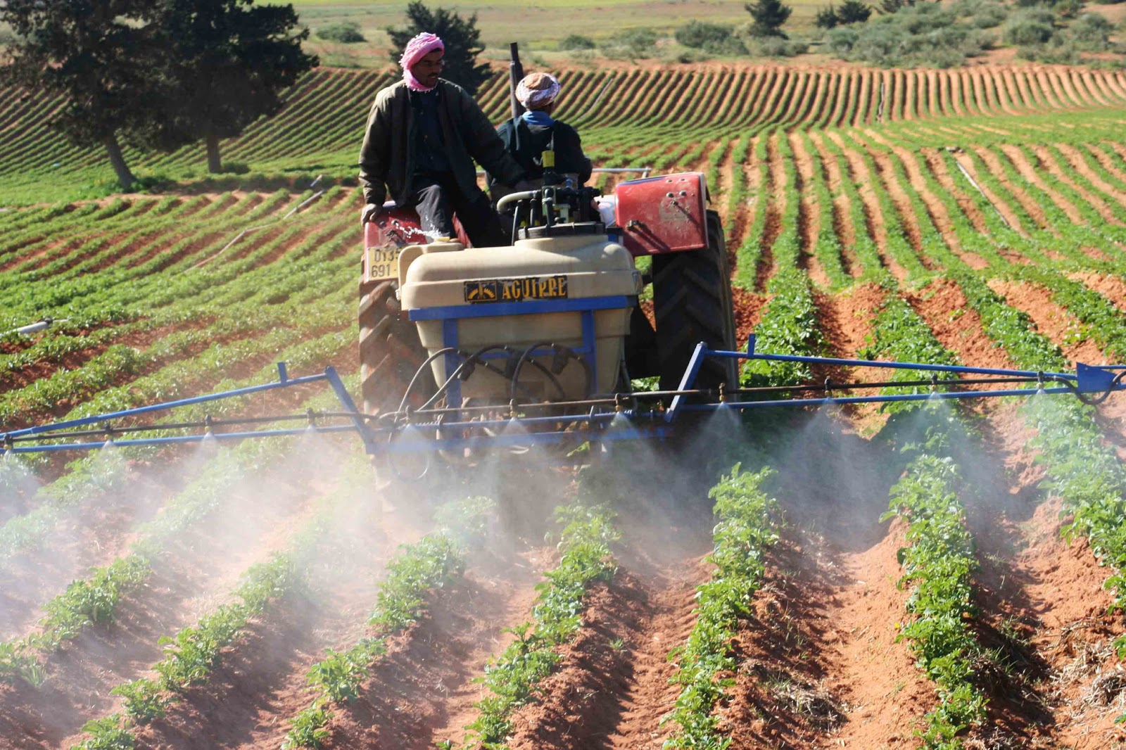 Agriculture : le nécessaire vrai coup dans la fourmilière