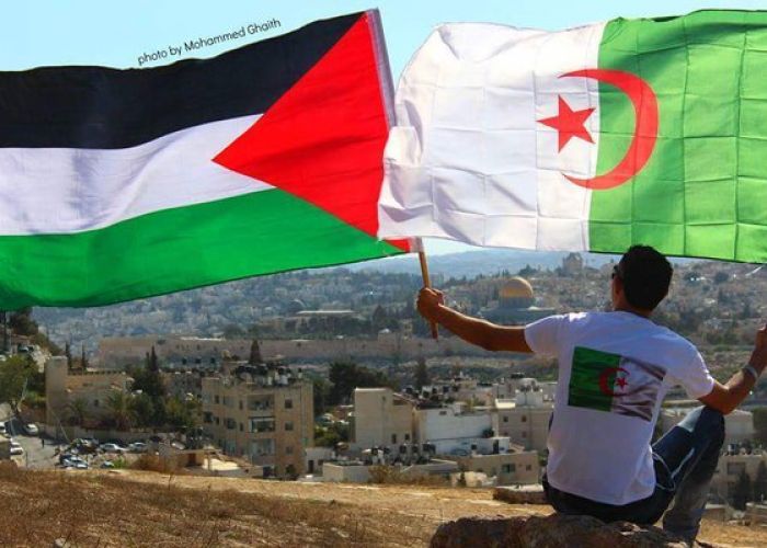 Comme en 1974, l’Algérie réintroduit la Palestine à l’ONU