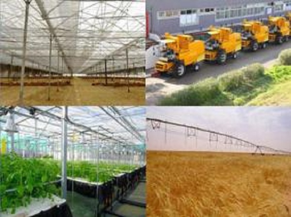 Bouazghi appelle à accélérer la mise en oeuvre des recommandations des Assises nationales de l’agriculture