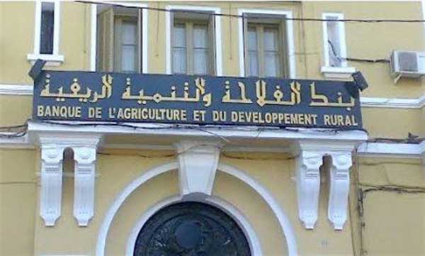 Lancement « très prochainement » d’une formule de crédits islamiques à la BADR