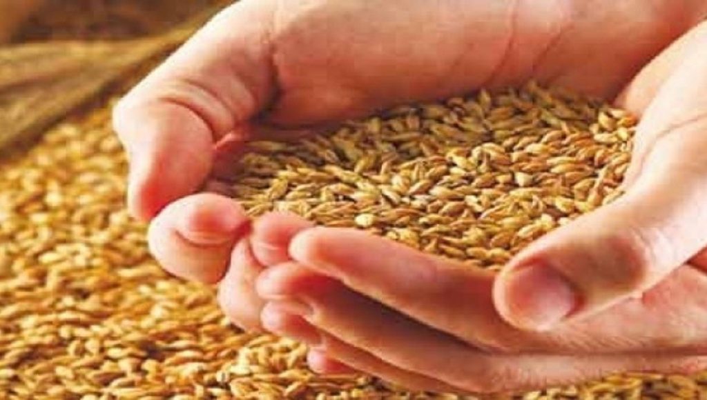 « Les capacités de stockage de céréales seront renforcées par plus de 3 millions de qx »