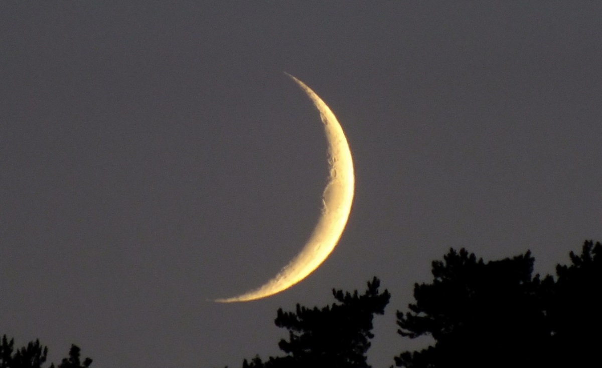Aïd El Fitr: les 1er et 2 Chaoual de l&rsquo;Hégire chômées et payées