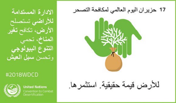 Plusieurs activités pour sensibiliser à la lutte contre la désertification