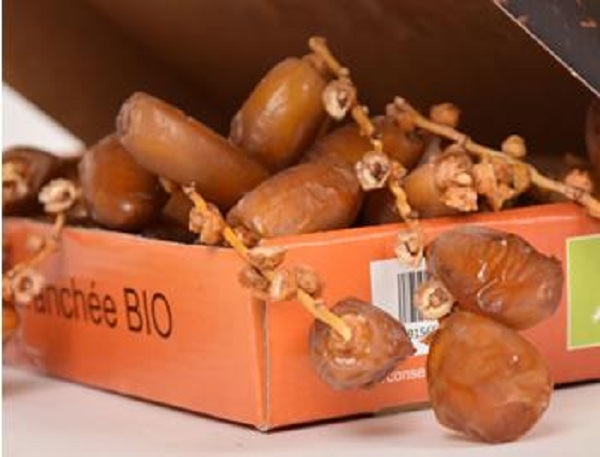 L’association nationale des commerçants à propos des produits agricoles refoulés: « C’est la bérézina du commerce extérieur »