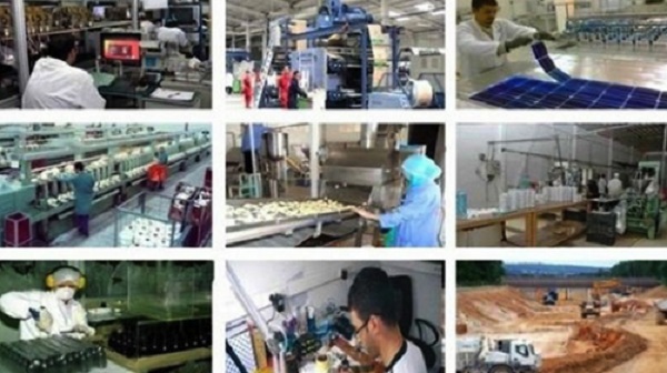 Placement de plus de 23.700 demandeurs dans cinq wilayas de l’Ouest