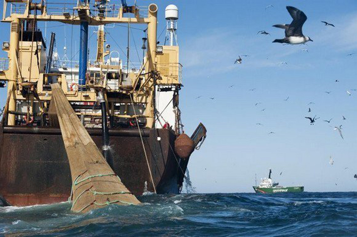Lutte contre la pêche illégale: Accord international pour bloquer les navires contrevenants