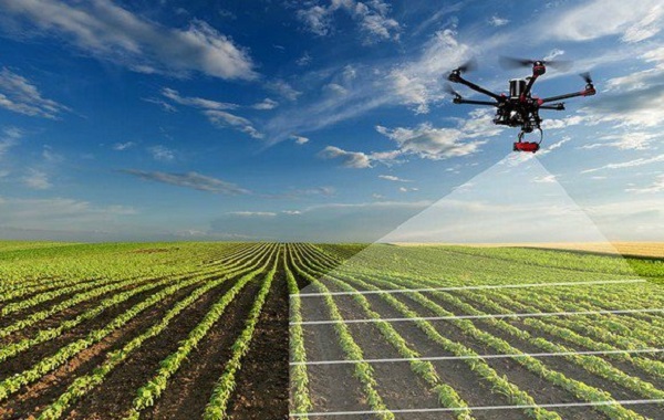 La télédétection spatiale, une nécessité « majeure » pour booster l’agriculture saharienne