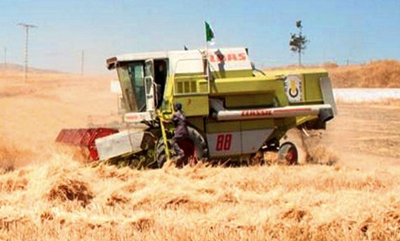 Bouazgui : « assainir le foncier agricole pour créer un développement véritable et durable »