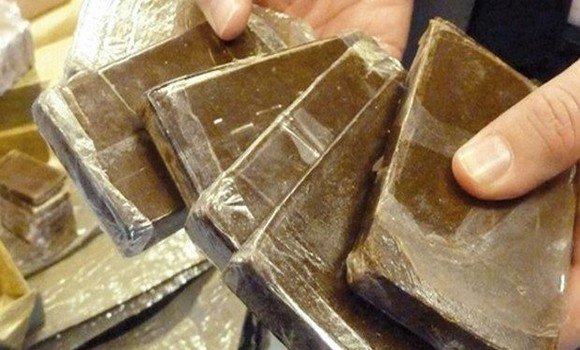 Saisie de 116,5 kg de kif traité à Oran, Tlemcen et Ténès Algerie360