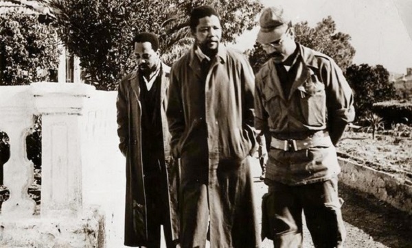 Lutte contre l&rsquo;apartheid: la Révolution algérienne, une source d&rsquo;inspiration « majeure » pour Mandela