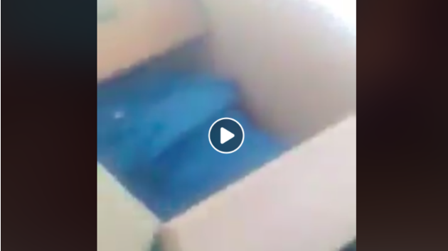 Affaire du bébé mort-né remis dans une boite en carton : L’enquête clôturée