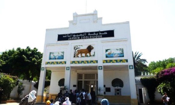 Le jardin d&rsquo;essai du Hamma accueillera prochainement de nouvelles espèces animales