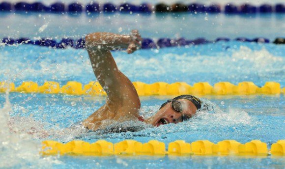 Natation/Championnat arabe 2018 (1e journée): huit médailles pour l&rsquo;Algérie, dont trois or
