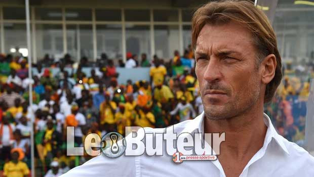 Zetchi optimiste de pouvoir ramener Renard