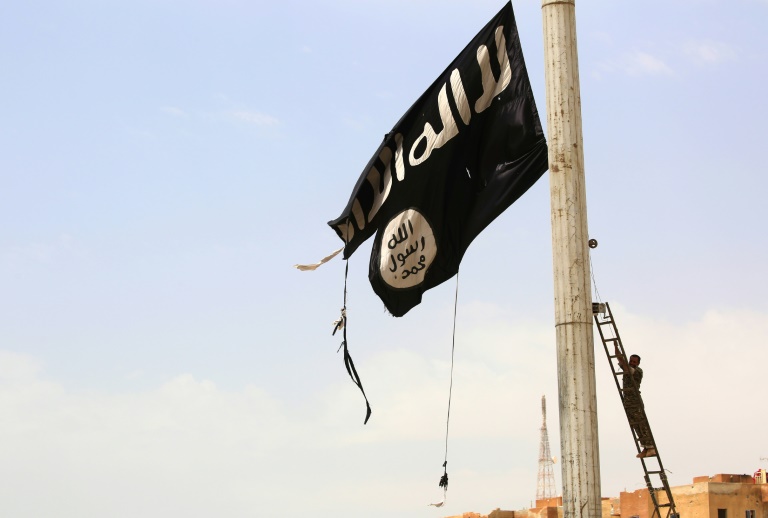 Syrie: deux américains accusés de terrorisme rapatriés aux Etats-Unis