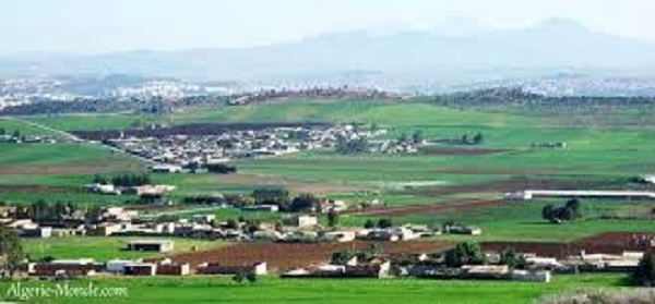 Chlef: Découverte d’un foyer de fièvre aphteuse