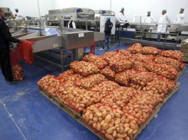 Produits agricoles : le premier club des exportateurs est né