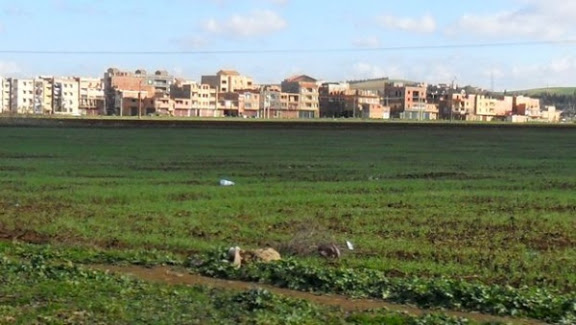 Plus de 530 hectares récupérés dans la capitale !