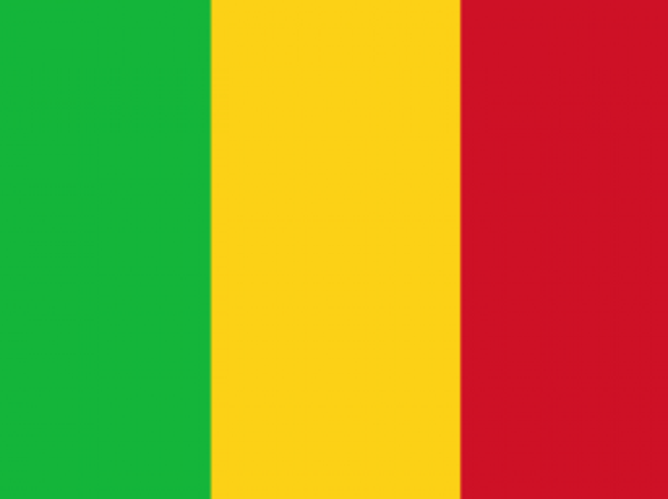 Présidentielle au Mali : Fermeture des bureaux de vote