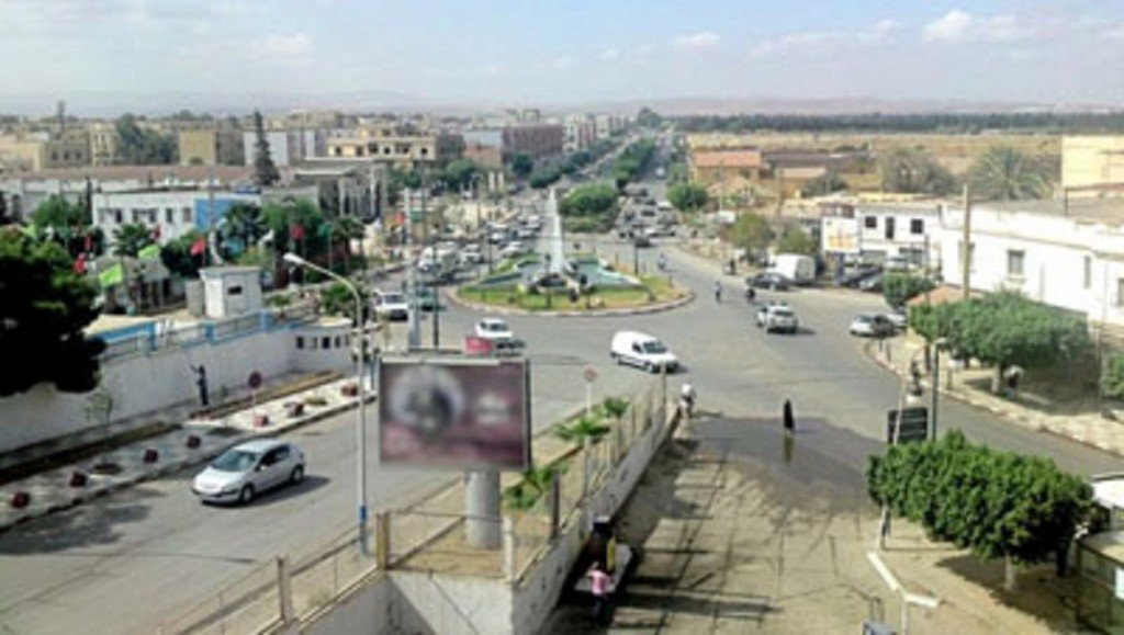 Cadre de vie: Campagne de démoustication à Relizane