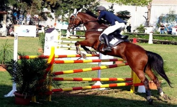 JAJ-2018/Equitation (1e j): médaille d&rsquo;argent pour l’Algérie en saut d&rsquo;obstacles