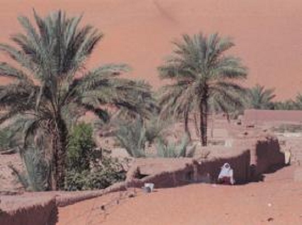 BMS : vague de chaleur sur les régions des oasis jusqu’à lundi