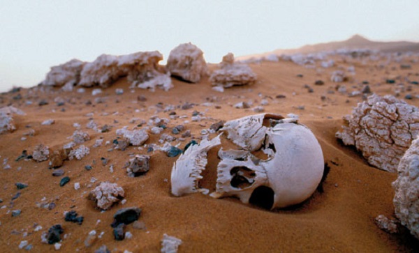 10 ressortissants Algériens retrouvés morts de soif dans le désert malien