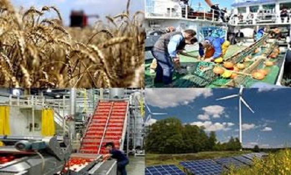 Investissements, banques, législation… »L’économie algérienne sous la loupe du Département d’État US »