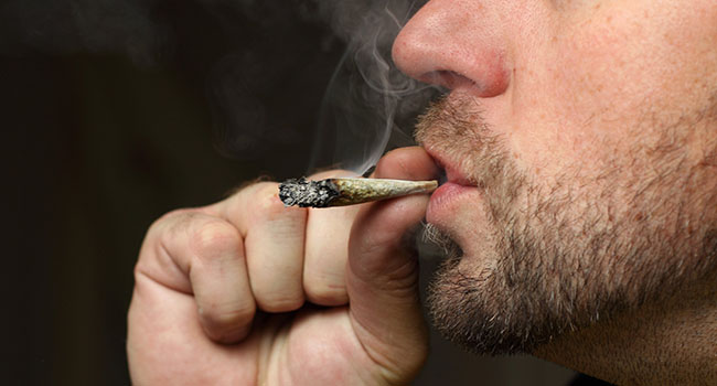 Le hachich de Moulay Soltan !