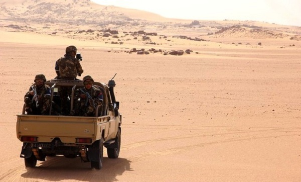 Plus de de 300 kg de kif traité saisis à Bechar - Algerie360
