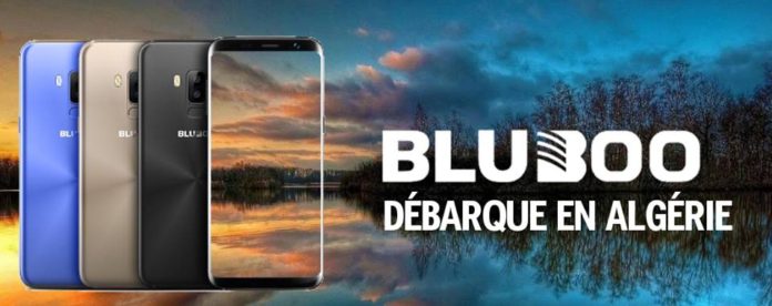 Bluboo débarque en Algérie en Made in Algeria