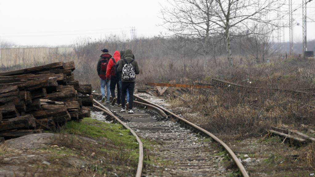 Deux migrants retrouvés morts dans une forêt en Croatie