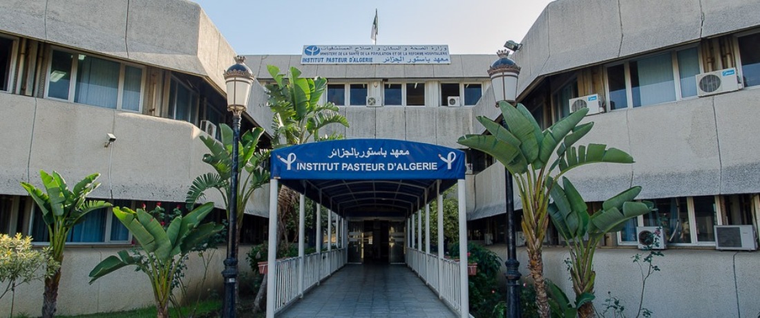 Cas de choléra à Blida: précisions de l’Institut Pasteur