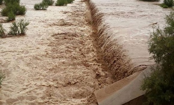 Quartiers inondés, oueds en crue, circulation perturbée… »Inondations à Naâma »