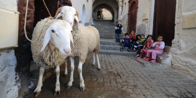 Mila: Etouffé par la corde du mouton, un enfant décède