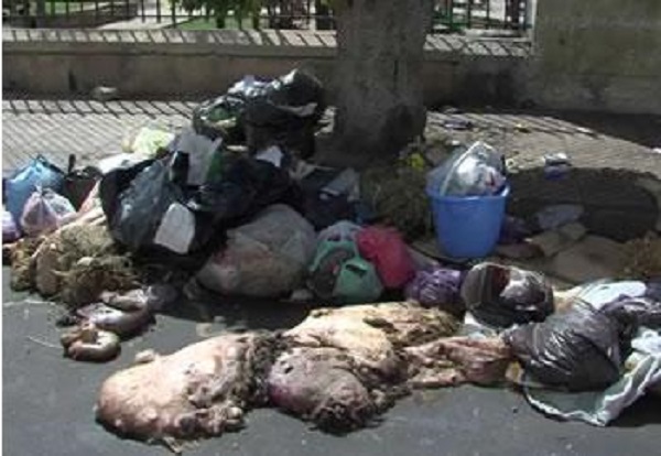 AID EL ADHA : L&rsquo;hygiène sera-t-il au rendez-vous?