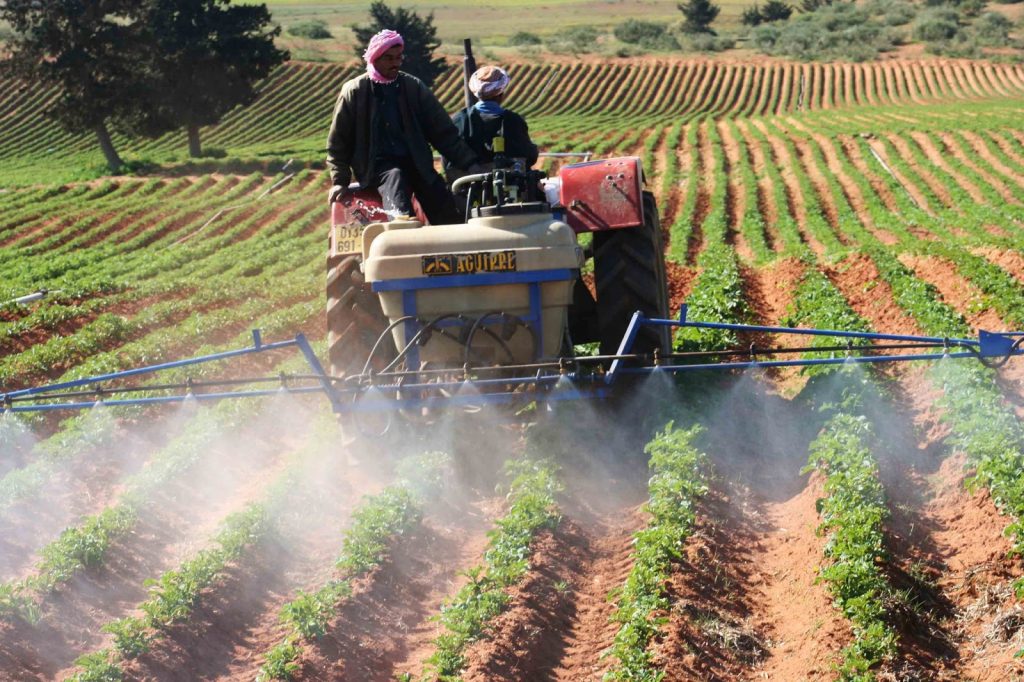 Définir « les besoins de l’agriculture nationale et pallier à ses insuffisances »