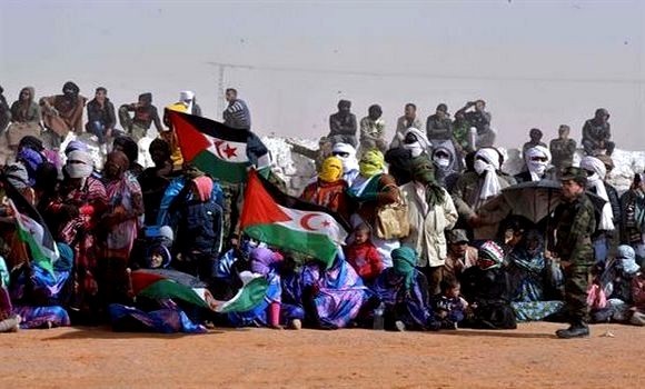 L’ONG Défense Forum Foundation lance une pétition internationale en faveur de la cause sahraouie