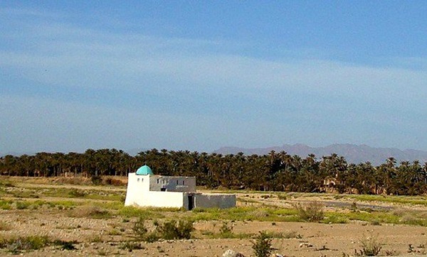 Les berges d’Oued Sidi Zarzour, destination privilégiée des habitants de la capitale des Ziban