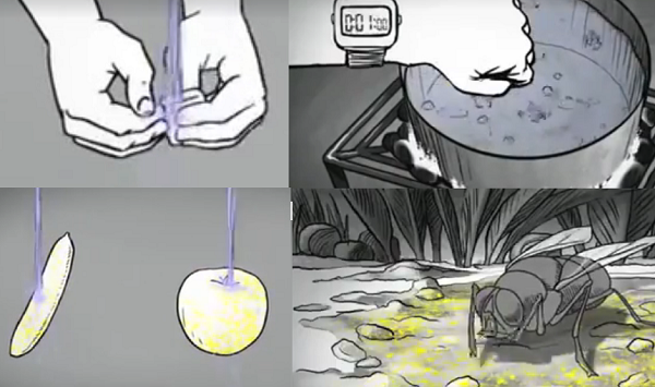 Vidéo : le respect des mesures d’hygiène pour se protéger contre le choléra