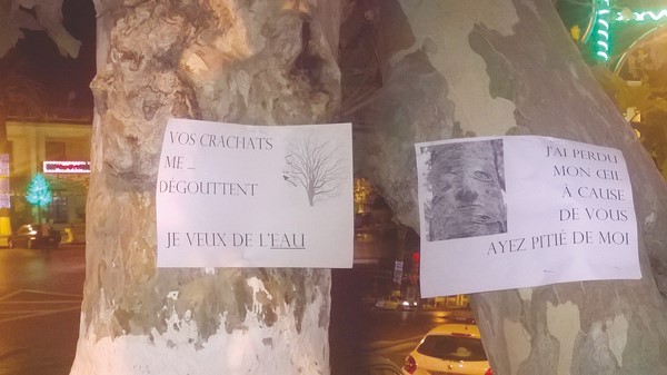 Un groupe de citoyens a imaginé un concept originel : Des arbres qui parlent à Jijel