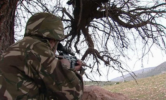 Identification des quatre dangereux terroristes abattus le 30 juillet à Skikda