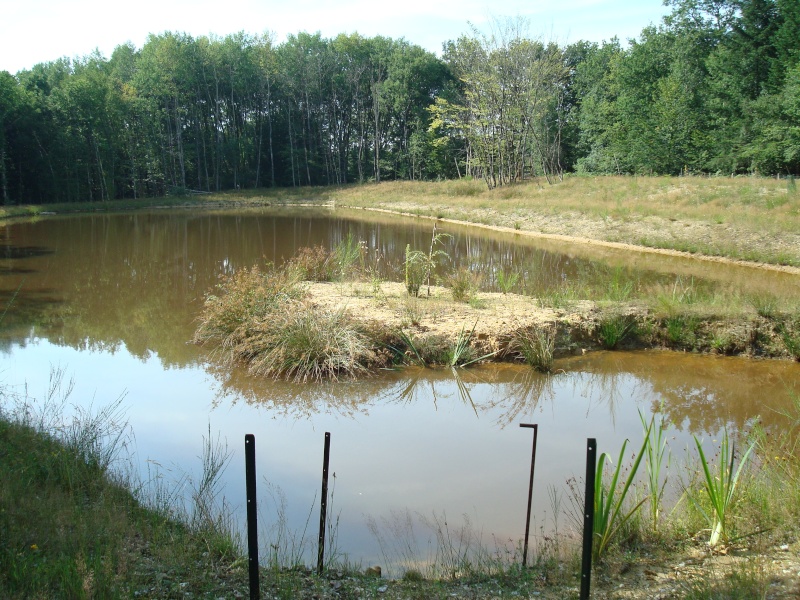 Mostaganem : Un enfant de 10 ans découvert mort dans un étang à El-Haciane
