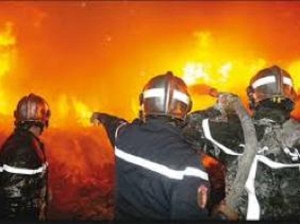 Aïn-Témouchent: 8 hectares de la forêt de Sassel ravagés par le feu