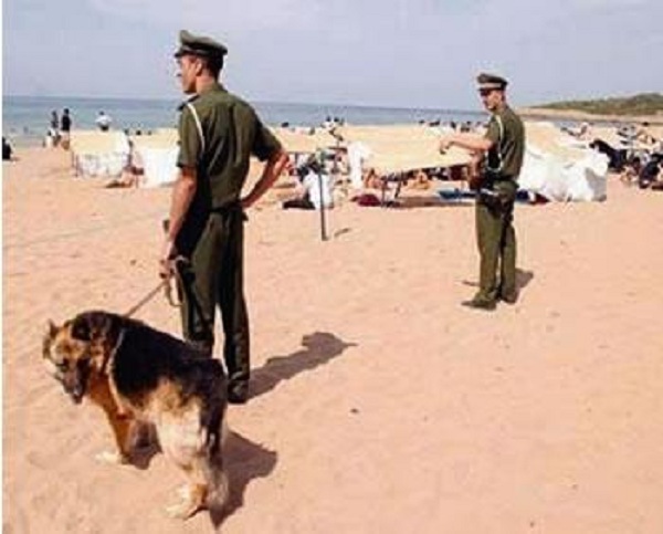 125 affaires relatives à l’exploitation illégale des plages traitées