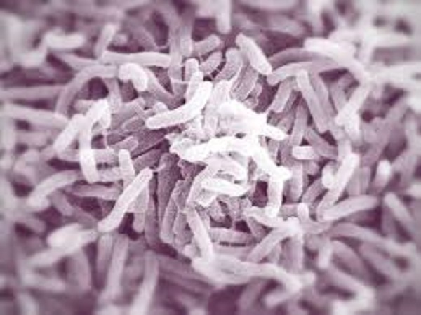 10 cas de choléra enregistrés à Blida