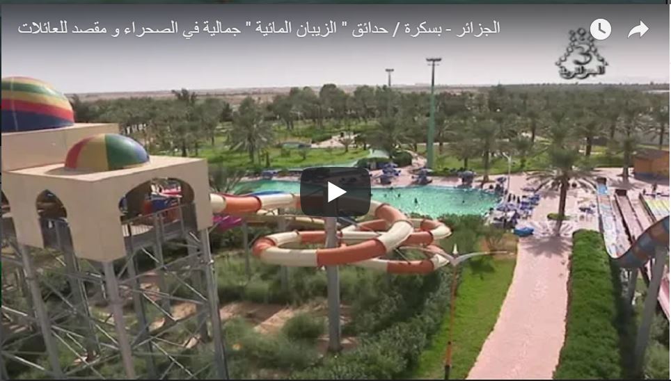 Vidéo: « Les jardin des Zibans » un joyau de fraîcheur au milieu du désert