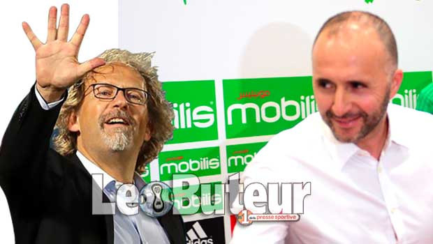 Tom Saintfiet (sélectionneur de la Gambie) : «J’ai entraîné Belmadi à Al Gharrafa, je suis sûr qu’il va réussir»