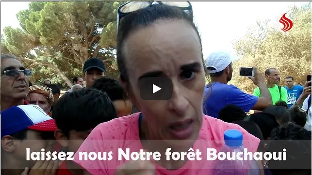 Vidéo – Abattage des arbres à Bouchaoui : Le cri de détresse des citoyens